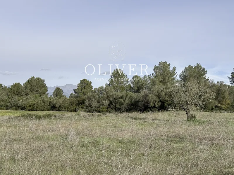Large plot with views in Sencelles — photo 9