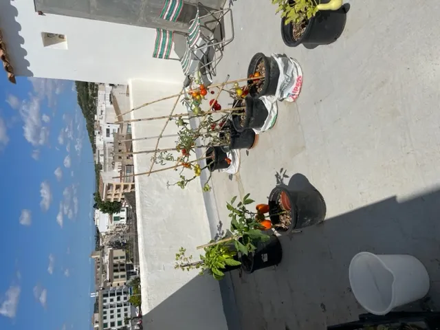 Very bright apartment + storage room + terrace + balcony, unique location — photo 2