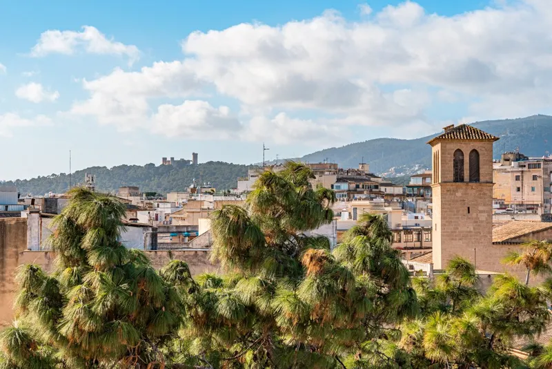 Palma Casco Antiguo prestigious area apartment for sale with attic room and large attic space — photo 9