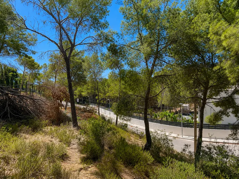 Plot with high investment potential in the prestigious area of Camp de Mar Mas — photo 6