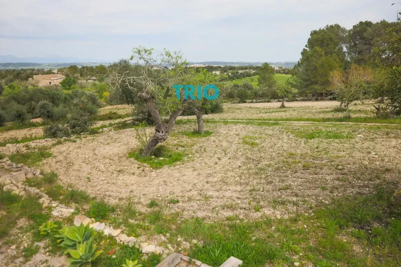 Discover the charm of rural life in Montuïri! We present this rustic finca to renovate, a peaceful refuge with a strategic location near the town center. — photo 10
