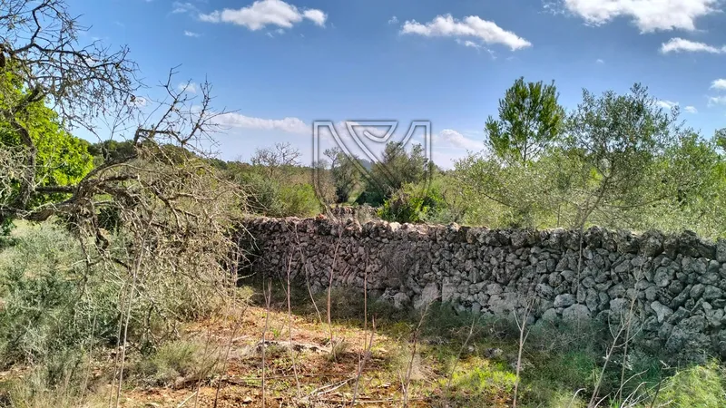 Felanitx – Fantastic plot with panoramic views — photo 7