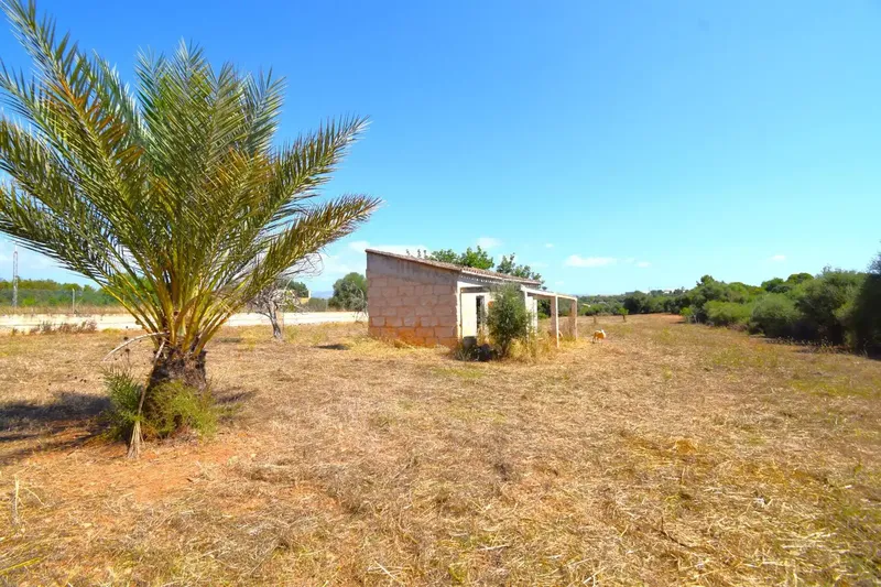 Discover this magnificent rustic estate located in the Son Blay area, just 2.7 km from the town center and with direct access by road — photo 1