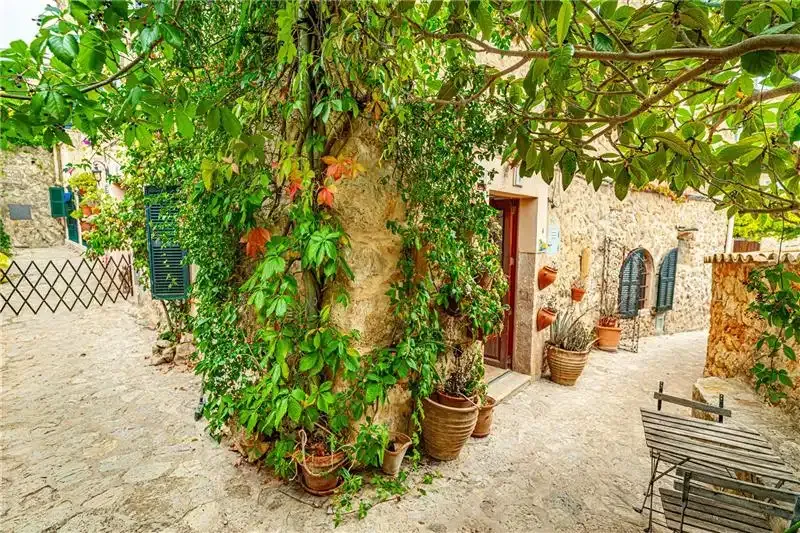 Mallorcan stone house in Valldemossa, located on one of the most discreet and unknown streets in the heart of Valldemossa, this prop — photo 1