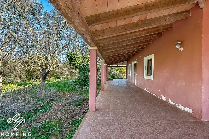 Rustic finca with house in Algaida — photo 6
