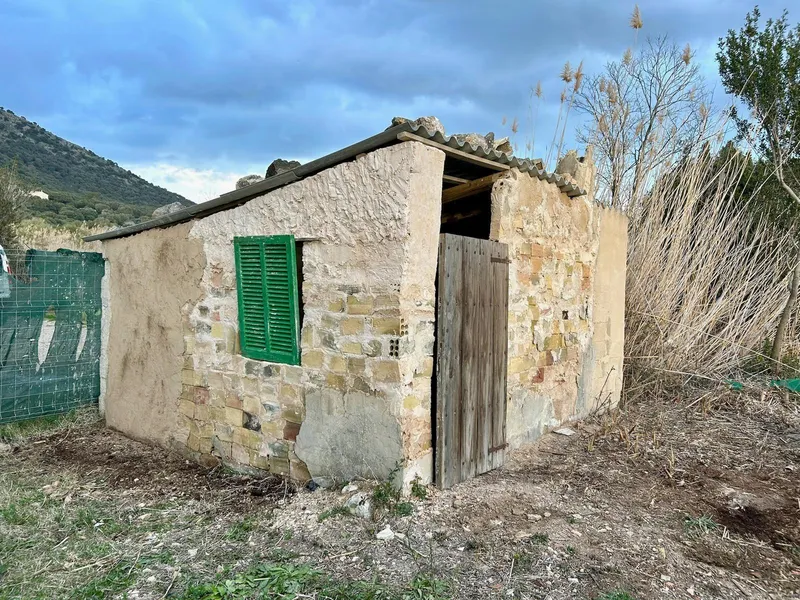 Rustic plot in Sa Pobla — photo 3