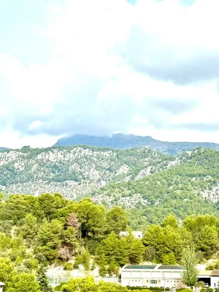Land in Selva, Province of Balearic Islands — photo 5