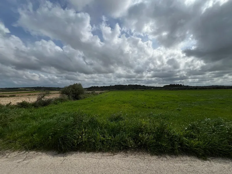 Ideal plot to build the house of your dreams — photo 2