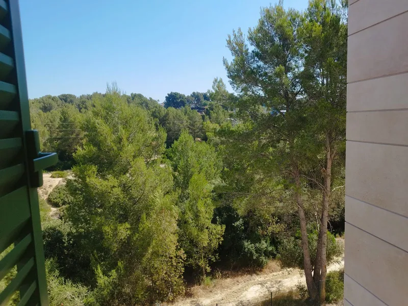 Palma de Mallorca Apartment Middle Floor — photo 3