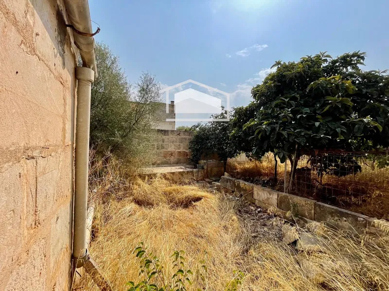 Buildable urban plot in Ses Salines — photo 3