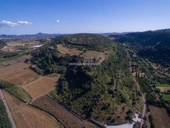 Renovation Project - Finca Manacor Mallorca for Sale — photo 6