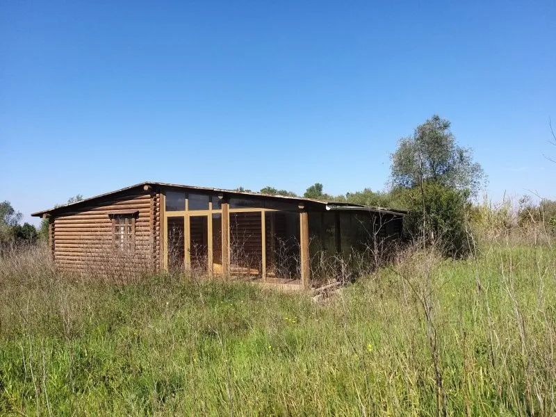 Wooden Finca Manacor Felanitx for Sale — photo 3