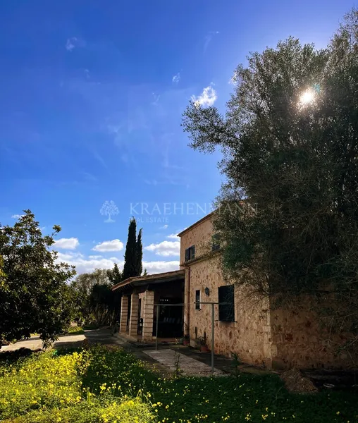 Stunning Country House with Holiday License in Santanyi — photo 4