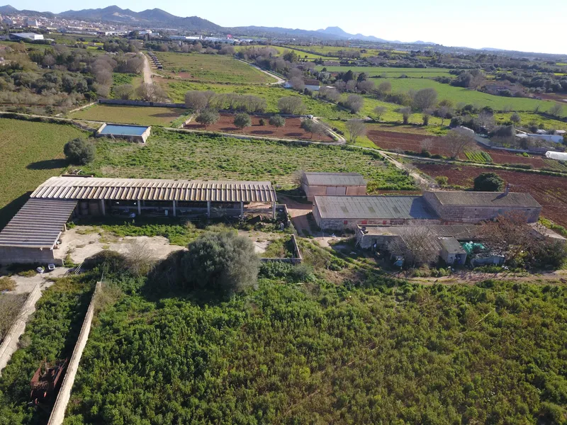 Finca for agricultural use with residential house in Manacor — photo 5