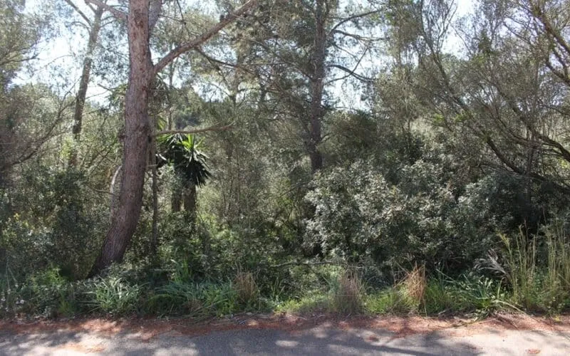 Building plot near the beach in Cala Murada – PM07382 — photo 2