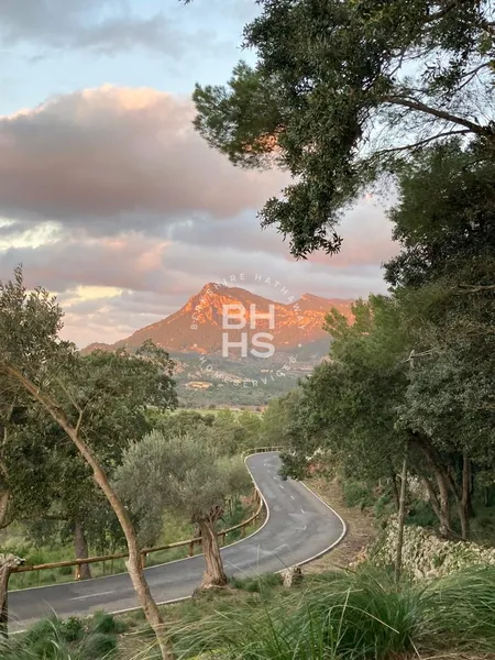 Villa to rent in Valldemossa — photo 8