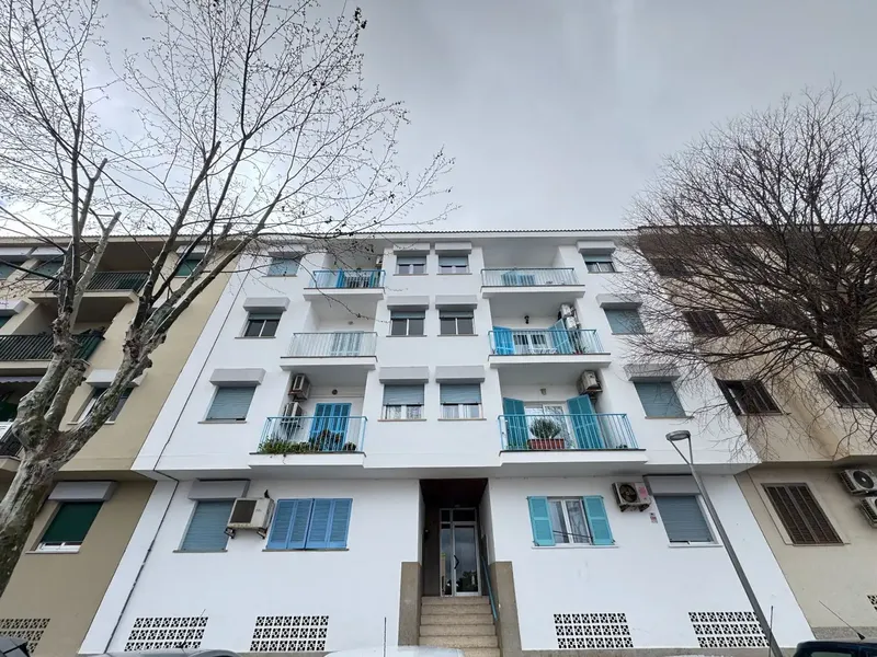 apartment in Marratxi — photo 1