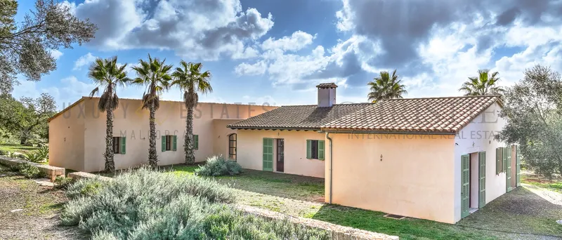 Barrier-free newly built country home with pool in Son Macia near Manacor and coast — photo 11