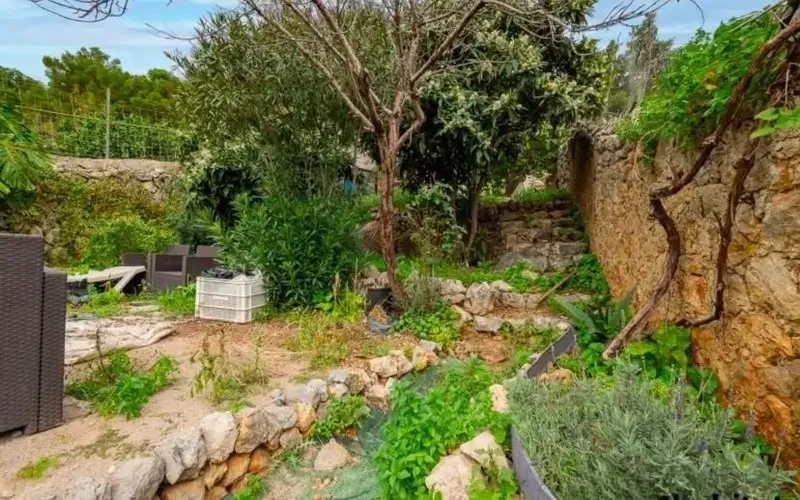 Village House in Caimari with Rustic Charm, Garden and Great Renovation Potential — photo 1