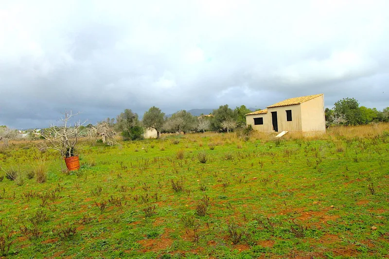F1 - Finca for sale with two — photo 1