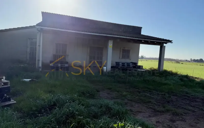 Developable Land in Sa Pobla: Nature and Future — photo 1
