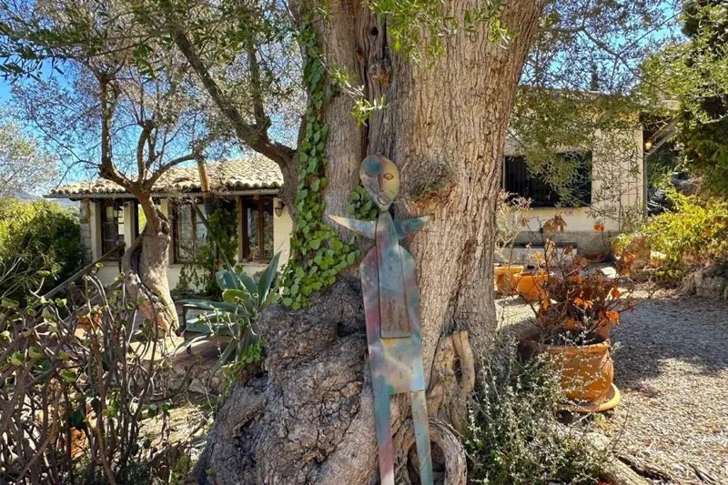 Exceptional artist’s finca by David Zisman with mountain views — photo 1
