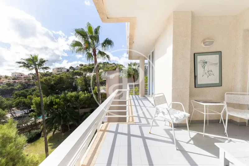Duplex for rent with sea views in Puerto de Andratx — photo 8
