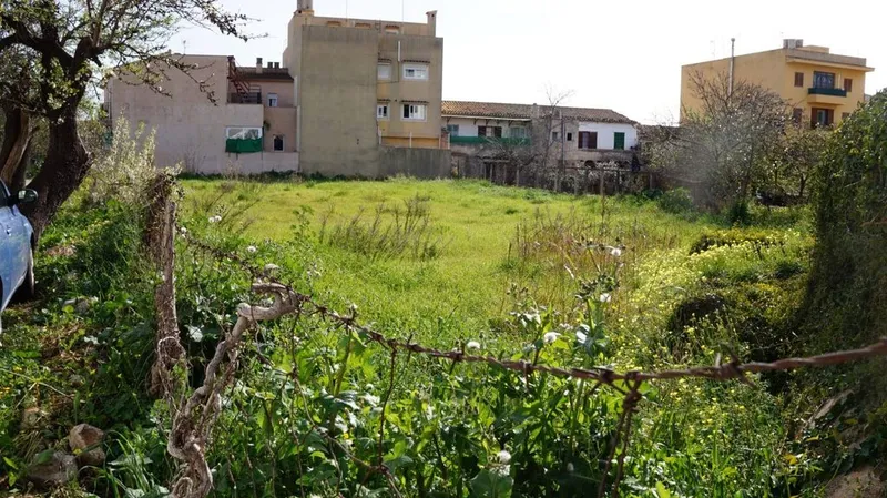 Land in Lloseta, Province of Balearic Islands — photo 1