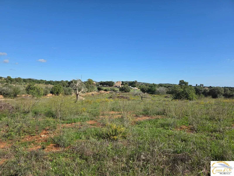 Beautiful building plot with panoramic views and innovative finca project near Porto Cristo — photo 6