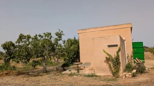 Rustic property - Porreres (Afueras) — photo 7