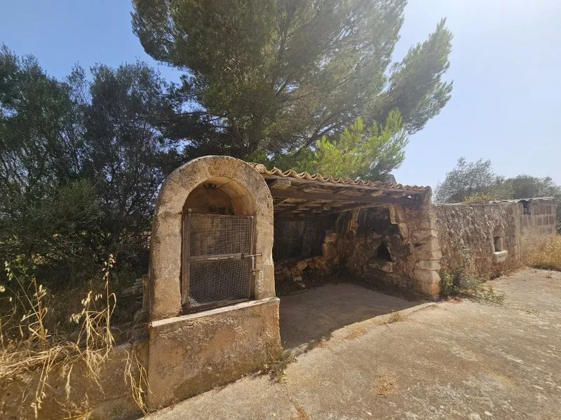 Finca, many outbuildings and land near Portocristo - Son Carrio — photo 3