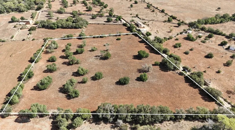 Buildable land — photo 4