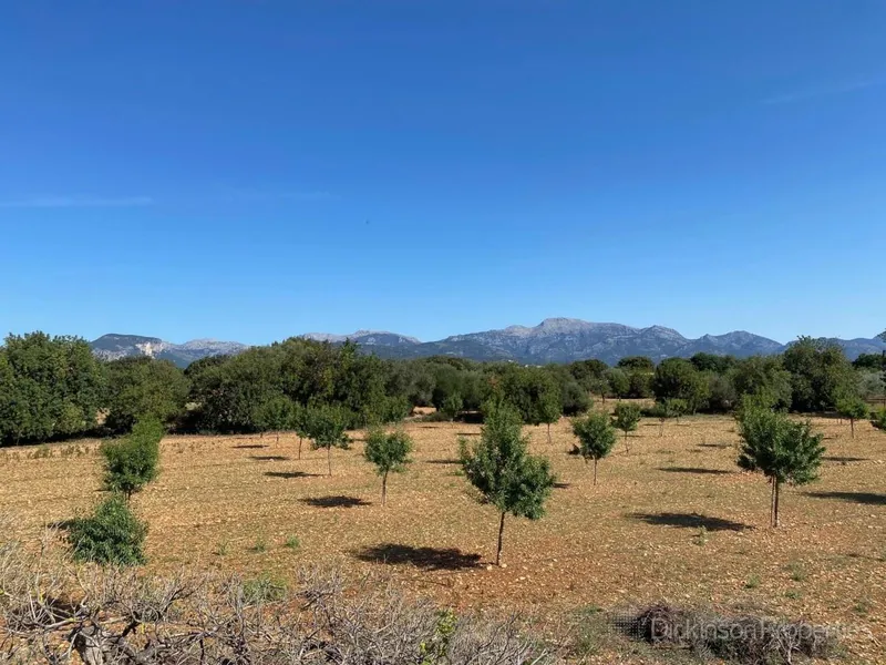 A 47,231 m² plot in Binissalem, Mallorca, with an approved building license, offering panoramic mountain views and proximity to the village center. — photo 4