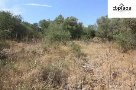 Rural Land - Petra, Built Surface 622m², Plot Surface 3551m² — photo 1