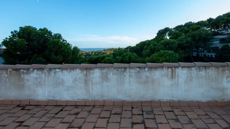 Villa for rent in Peguera / Paguera, Calvià, Mallorca — photo 2