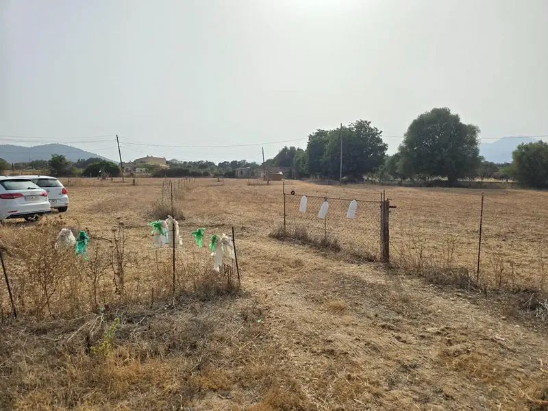 A blank canvas of almost 25,000 m2 in the center of Mallorca with its own well? Yes, it exists. — photo 7