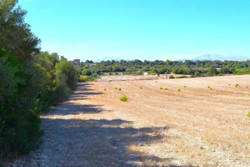 Finca rústica edificable de 32.462 m2, situada entre Llubí y Santa Margalida, en un entorno tranquilo y con hermosas vistas abiertas a la Se — photo 5