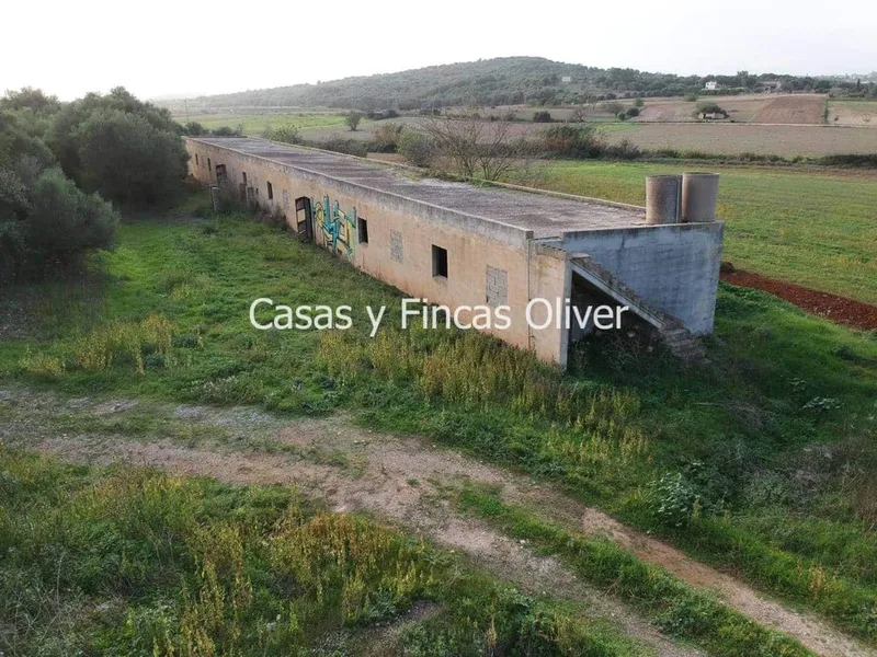 Finca/Country House for sale in Ariany, Mallorca — photo 1