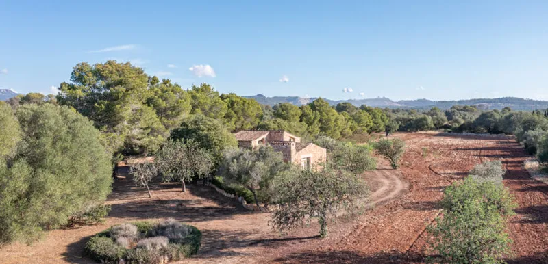 Country house for sale in Campos with land, orchard and own well — photo 5