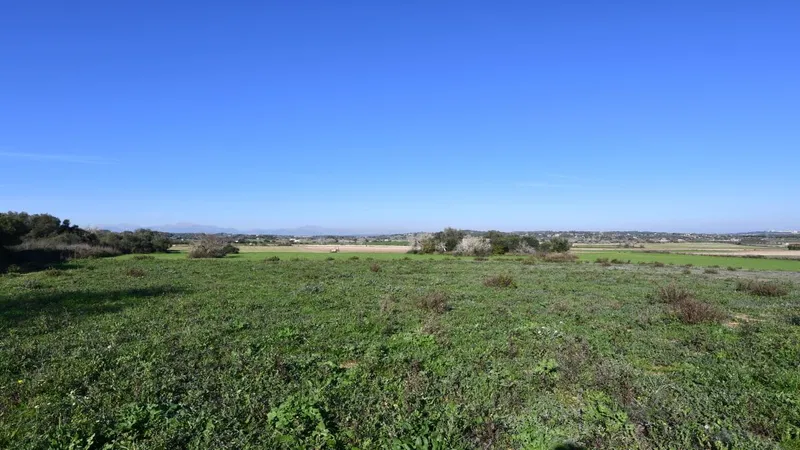 Beautiful plot in Petra with beautiful panoramic views of the Tramuntana mountains — photo 4