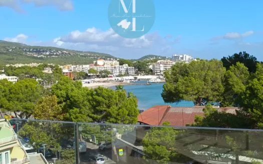 Top renovierte Wohnung mit Meerblick in Palm... — photo 3