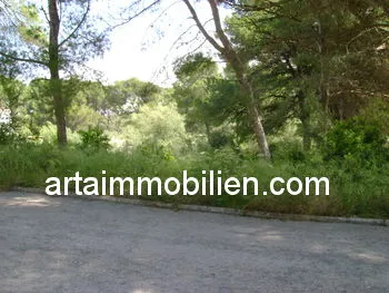 Plot in Canyamel — photo 1