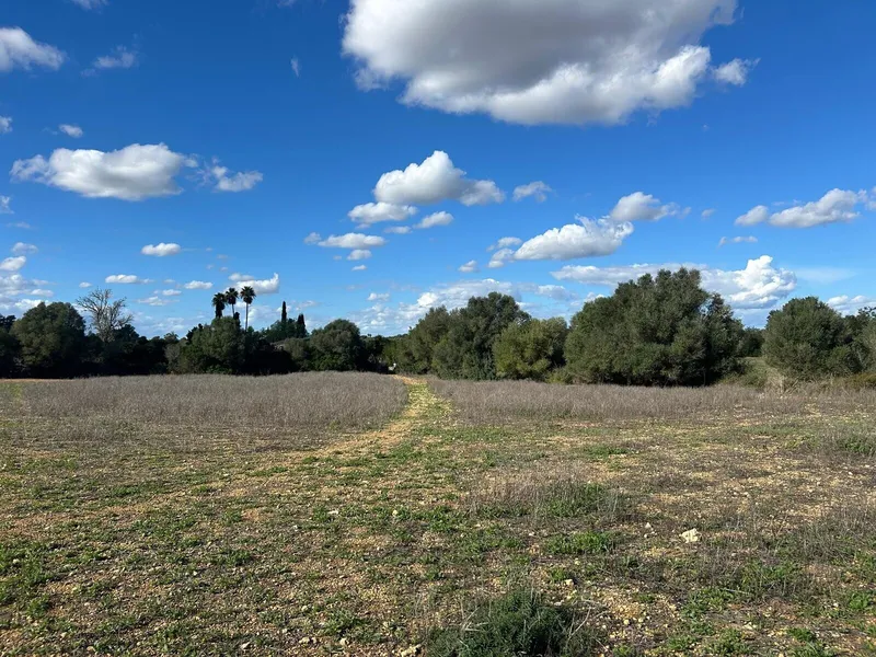 Plot in a charming location, Campos – Son Mesquida — photo 8