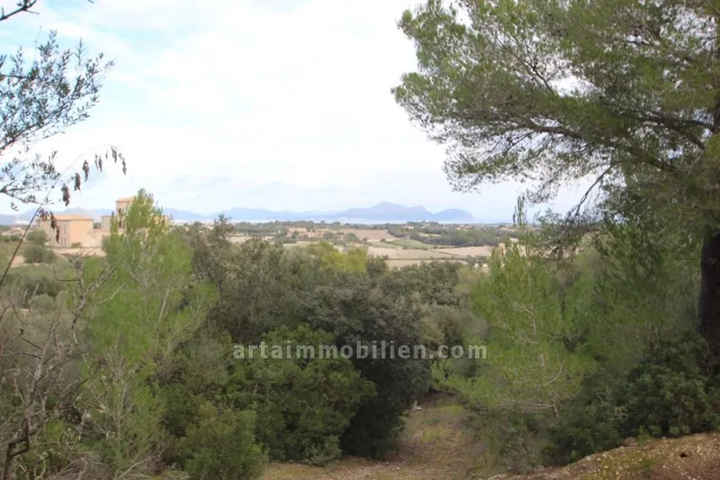 Rustic Finca in Santa Margalida — photo 1