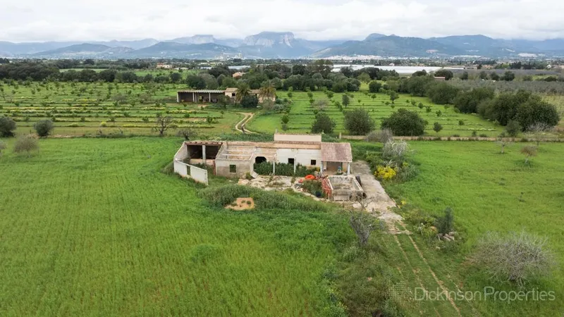 A 47,231 m² plot in Binissalem, Mallorca, with an approved building license, offering panoramic mountain views and proximity to the village center. — photo 3
