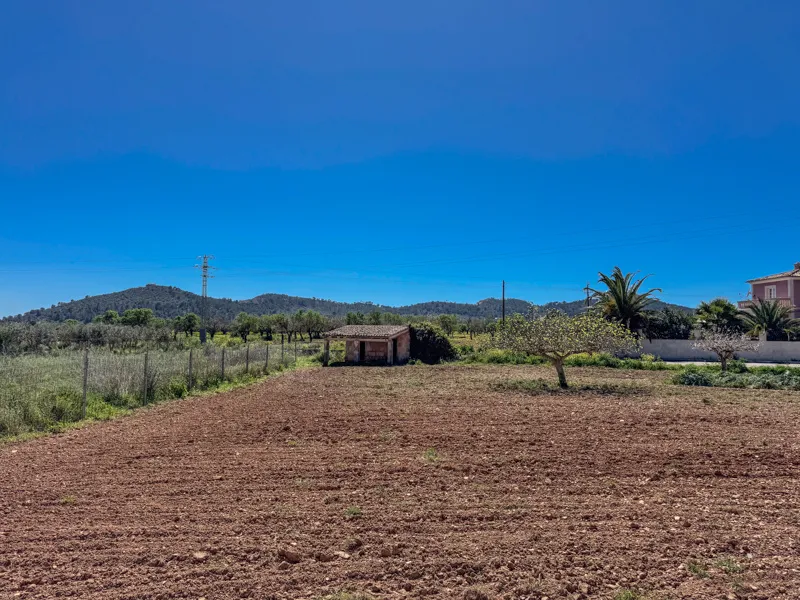 Magnificent property in Porreres — photo 6