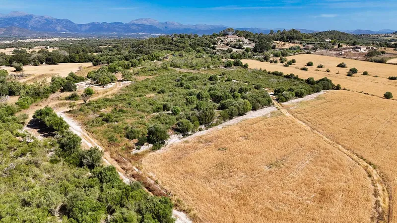 Llubi – Building plot with 35,032 m2 of land without project — photo 2