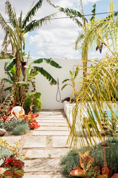Reformed home with guest house, pool & garden in Establiments — photo 6