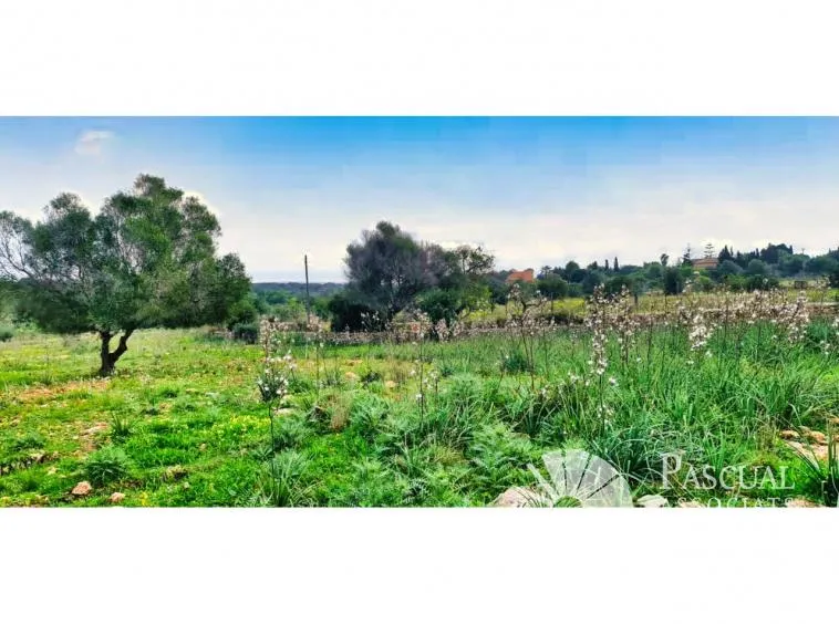 Rural Plot for Sale in S’Illot-Cala Morlanda — photo 4