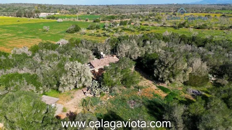 Rural or Farmhouse in ses Salines, Province of Balearic Islands — photo 3